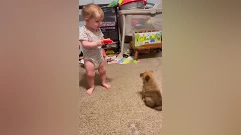 Can you watch without laughing?