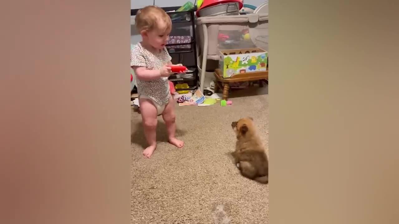 Can you watch without laughing?