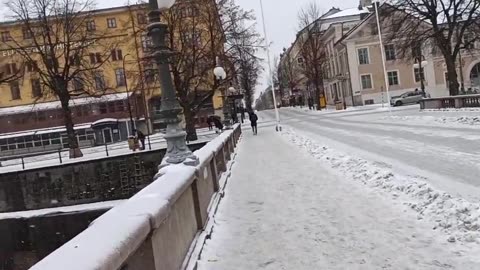 Se på fåglarna Örebro 10 Febr 2021