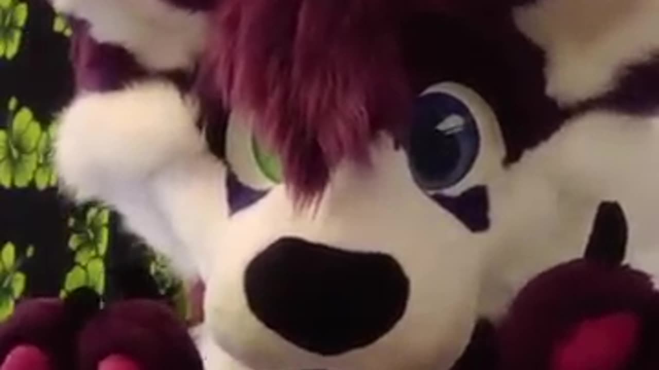 /jjjjjj