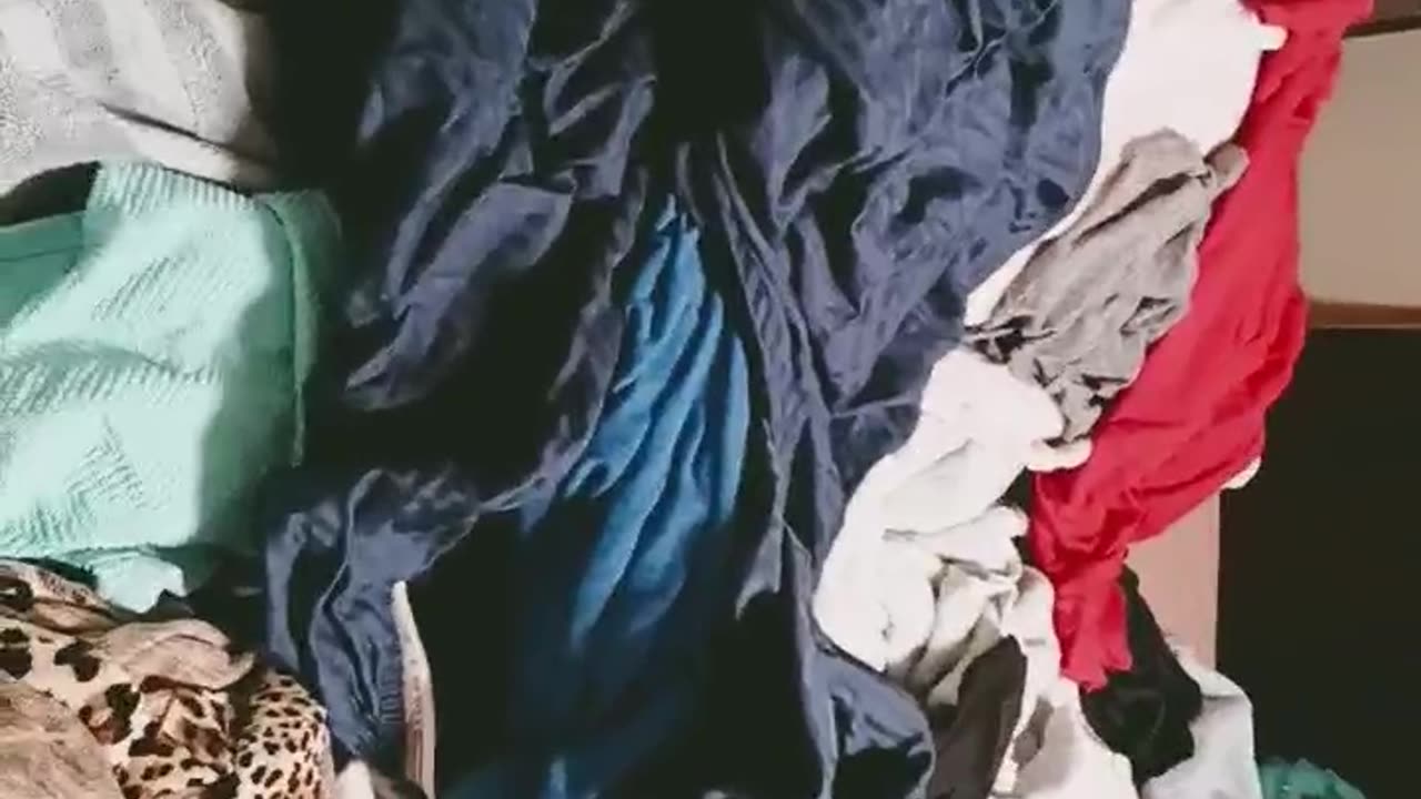 Folded laundry