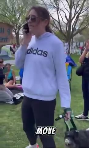 ANOTHER TROUBLEMAKING LYING JEW