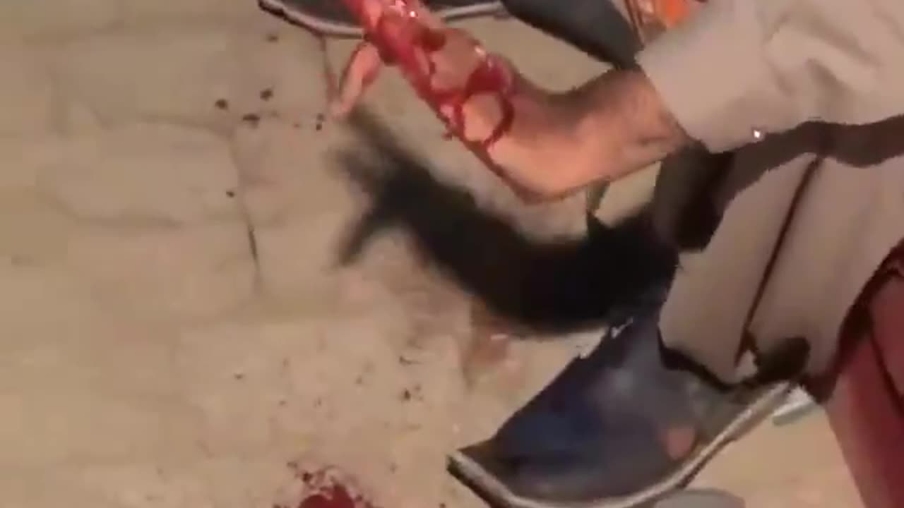 Muslim Shoots Himself