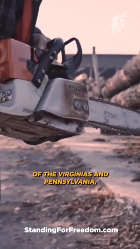 I AM THE NATION 🇺🇸🇺🇸💙🙏 I AM THE UNITED STATES FOR AMERICA 🇺🇸🇺🇸🇺🇸🇺🇸🇺🇸