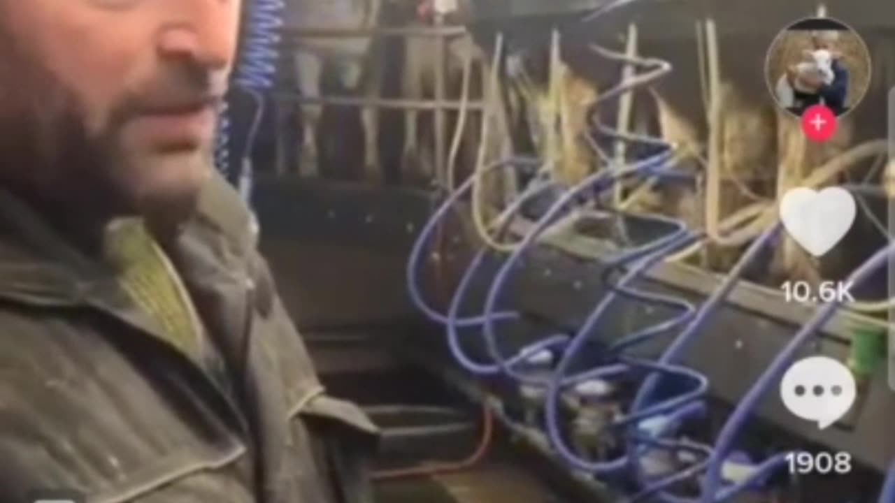 Dairy Farmer in Canada Having to Dump 30,000 Liters of Milk