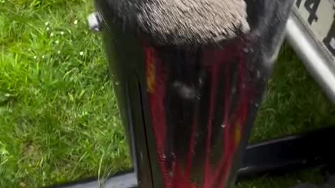 Matt...