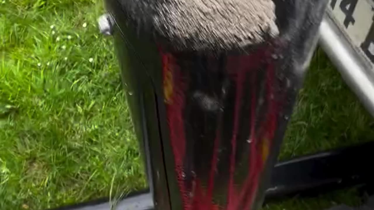 Matt...