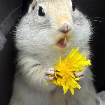 Being interrupted while on lunch break 😂