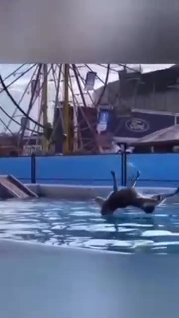 Train derailment in Ohio more Chemicals Revealed.. STAY AWAY VINYL CHLORIDE