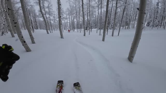 Jan 29th the honey hole