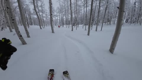 Jan 29th the honey hole