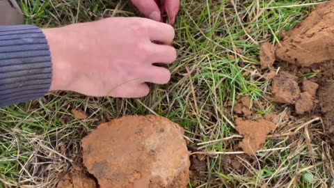 Internment Camp Coins Metal Detecting With Minelab