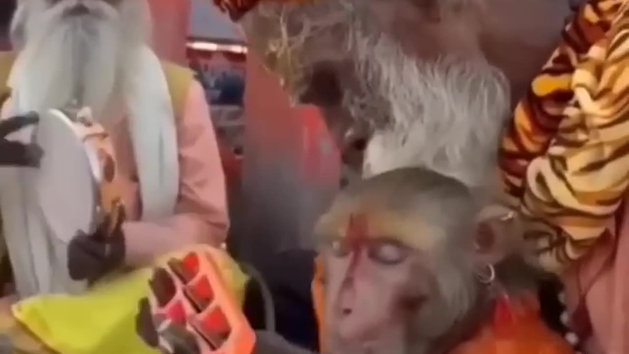 jai shree rammmmmm