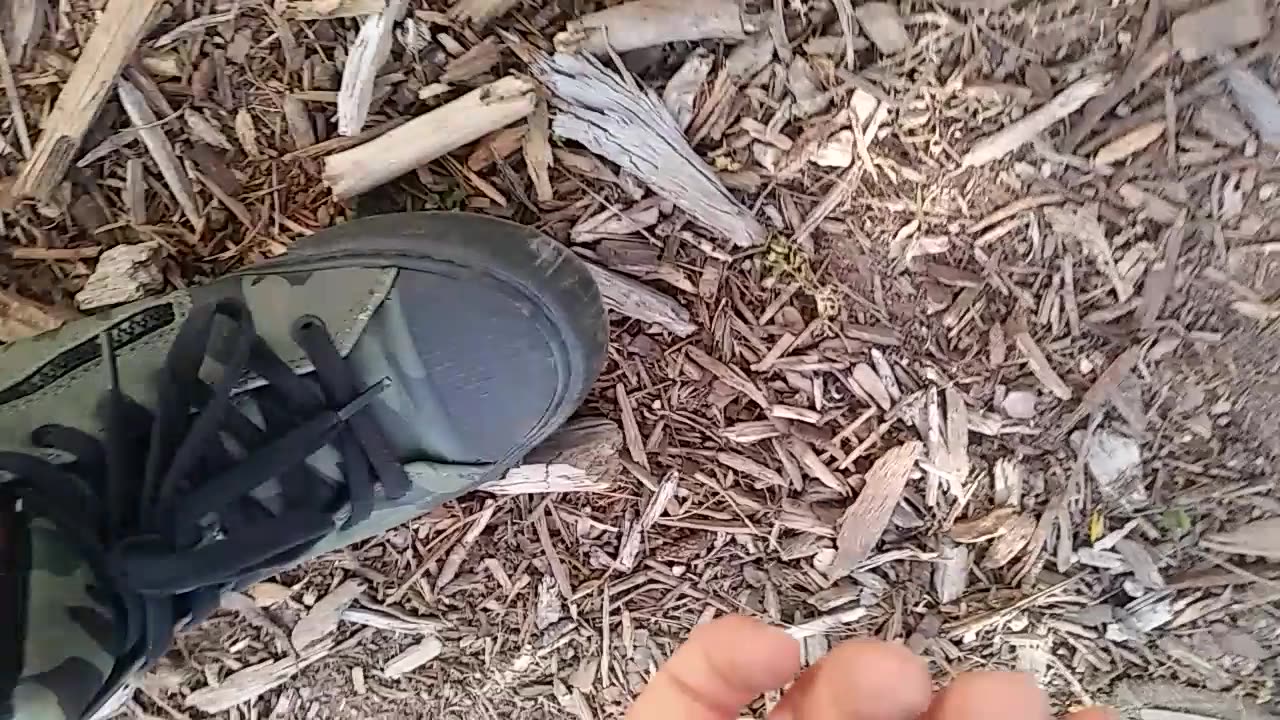 PICKING UP LETTUCE PT.2