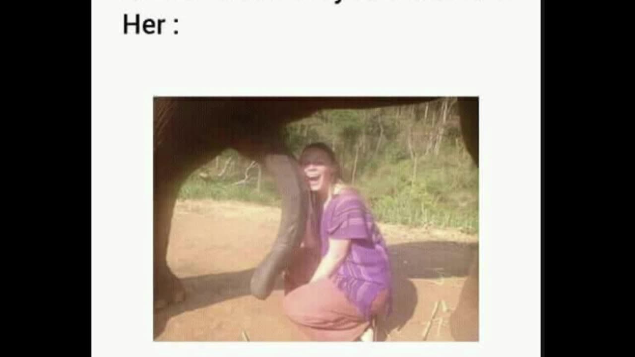 Random Memes 78