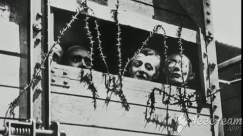 Auschwitz first impressions