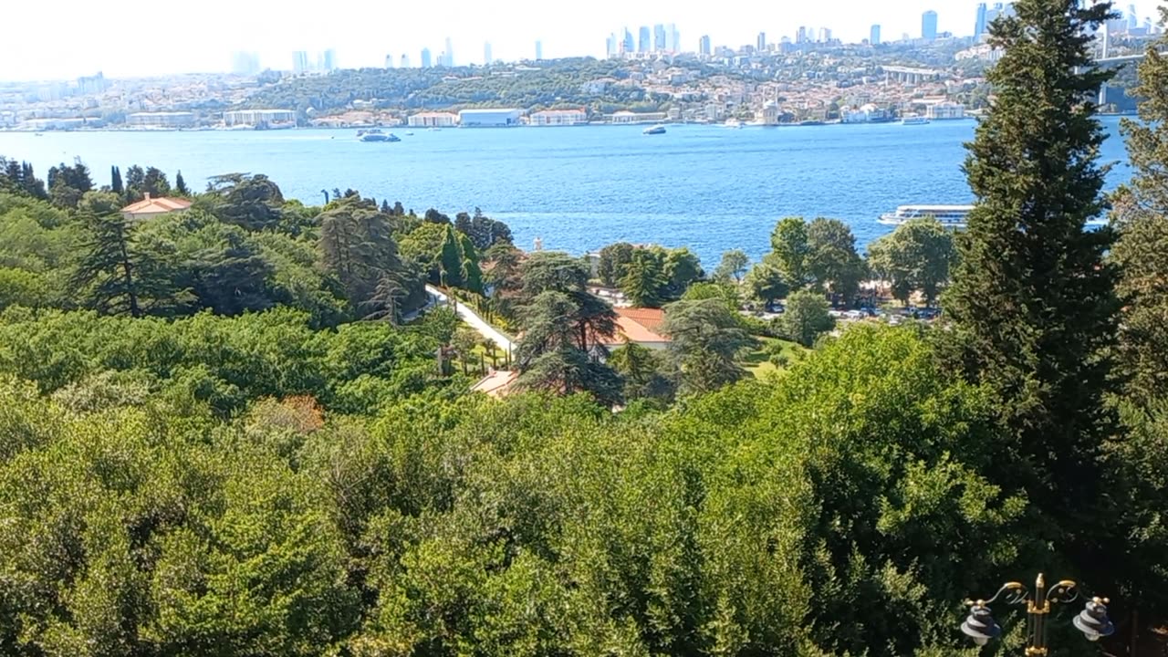 A beautiful landscape of trees with the sound of birds