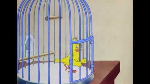 The Cagey Canary