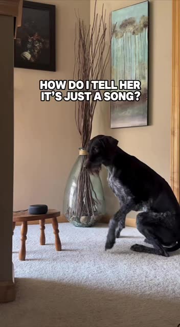 Poor doggy listening to a song following instructions