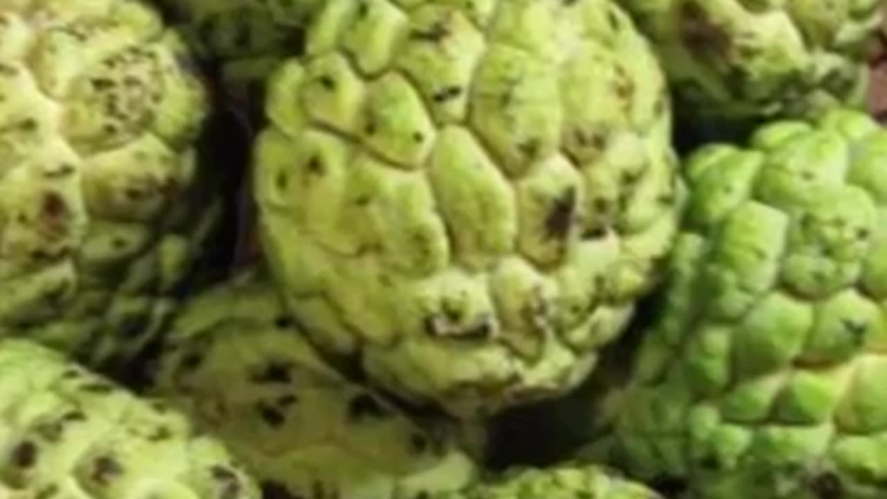 Many Benefits Of Eating Custard Apple