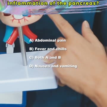 The pancreas: Questions and Answers