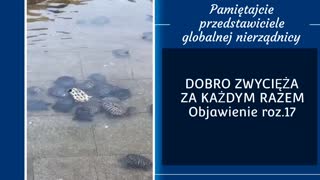 Dobro zawsze zwycięża