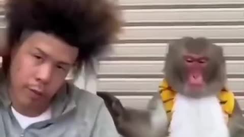 One Monkey Hairdo 🙈 Is Enough!