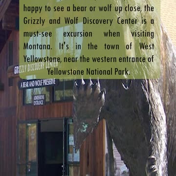 Wildlife Encounter: Montana's Grizzly & Wolf Center