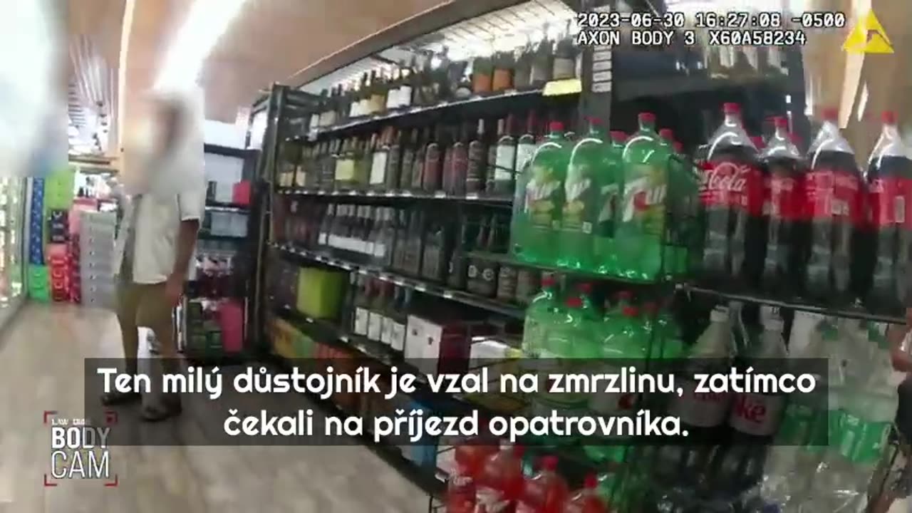 Policisté jí odebrali děti a ona pak vše udělala mnohem horší (CZtit)