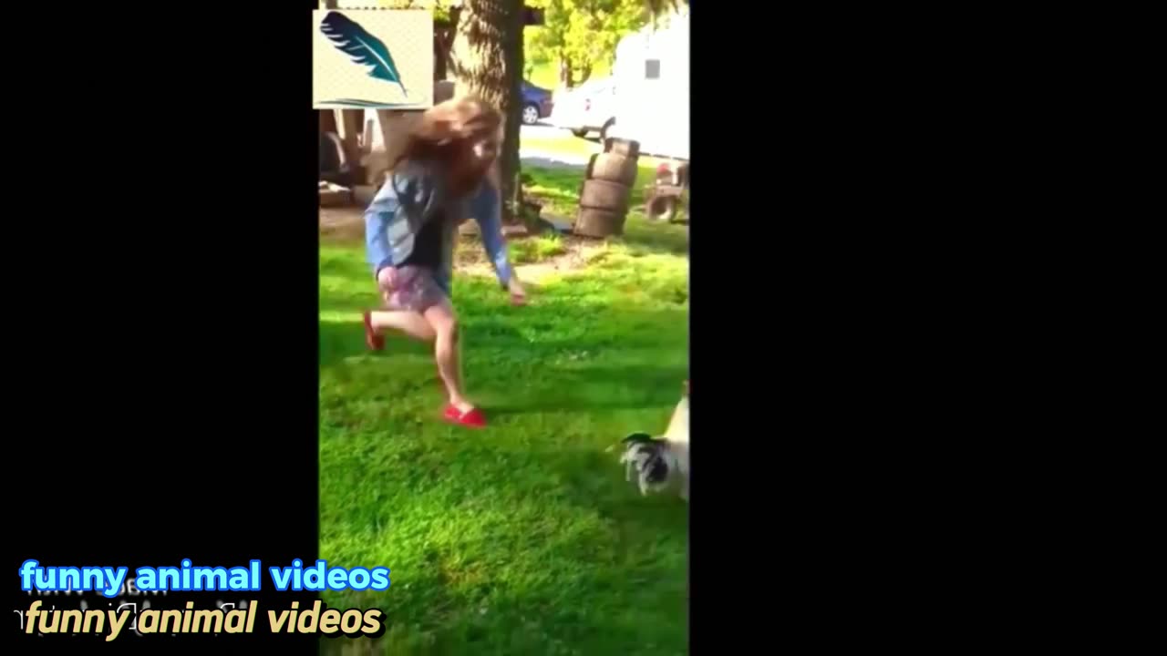 funny videos compilation