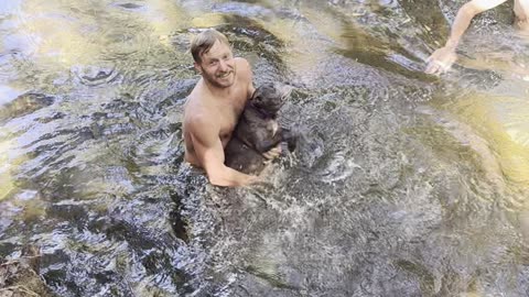 Elderly Dog Is No Longer Buoyant