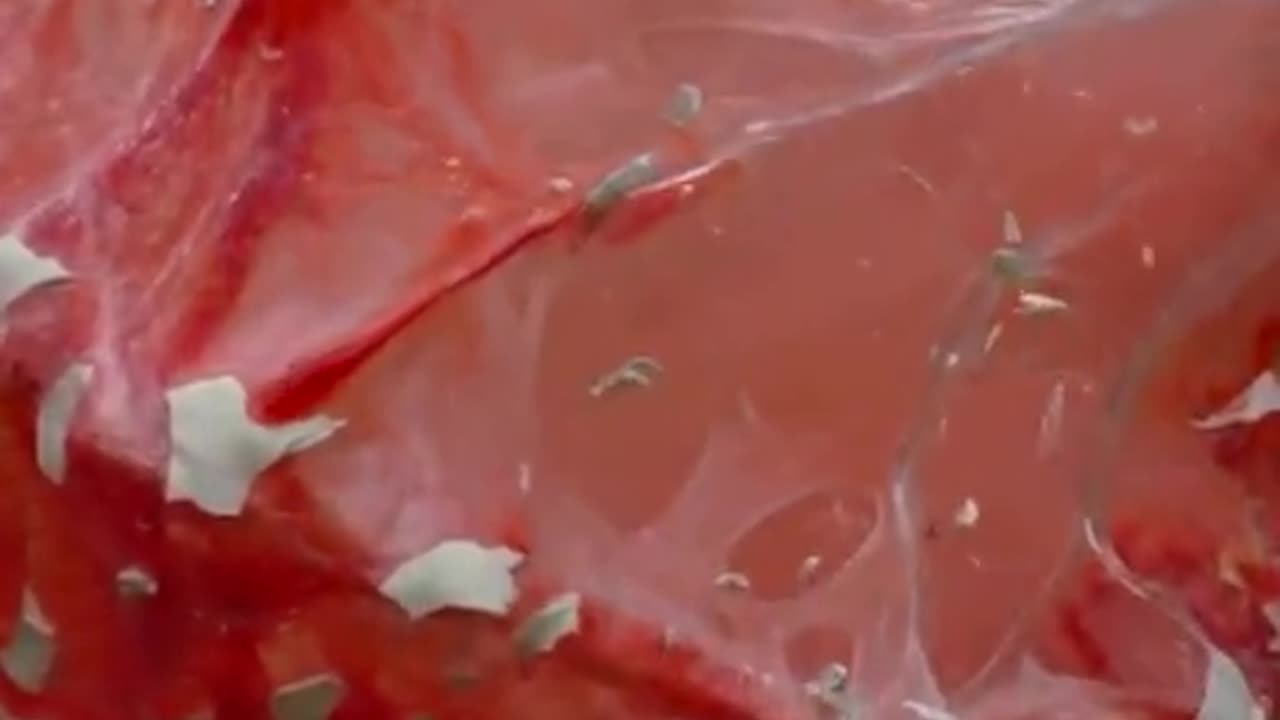 Can flex tape fix this?