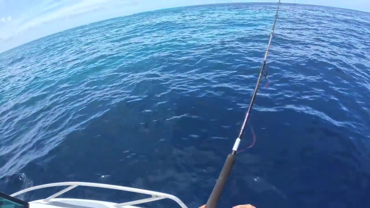 DAY 100 CAMPING ON THE OCEAN (The Great Barrier Reef at its Best!)