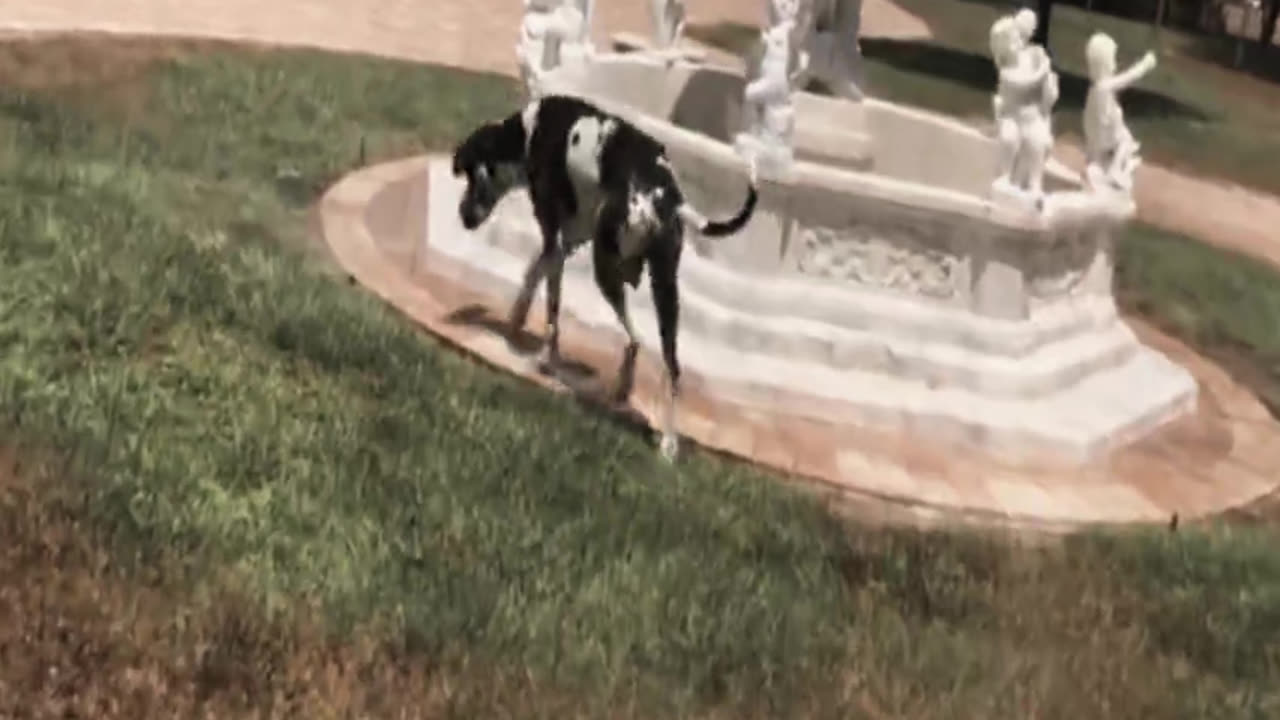 Duckbill Unexpectedly Watch Great Grand A Milk