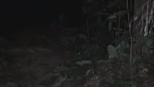 Ghost on camera paranormal activity part 14
