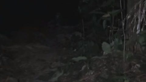 Ghost on camera paranormal activity part 14