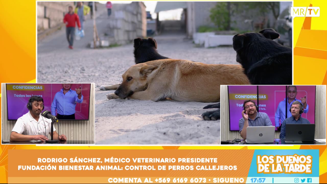 LDT 02/12/2024