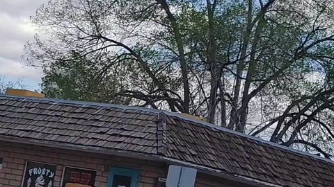 5G Fake Tree Tower From Hell Part 1