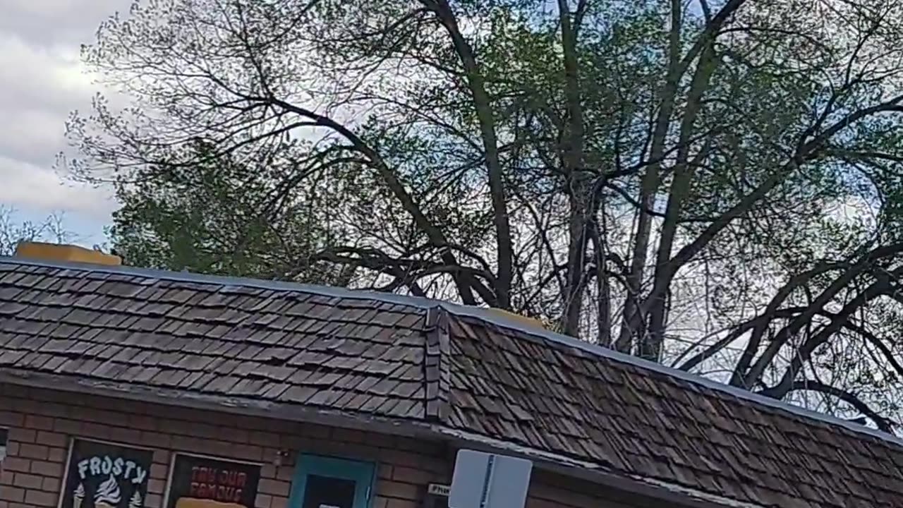 5G Fake Tree Tower From Hell Part 1