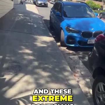 How Far Right Parties Shape Politics: Impact and Considerations