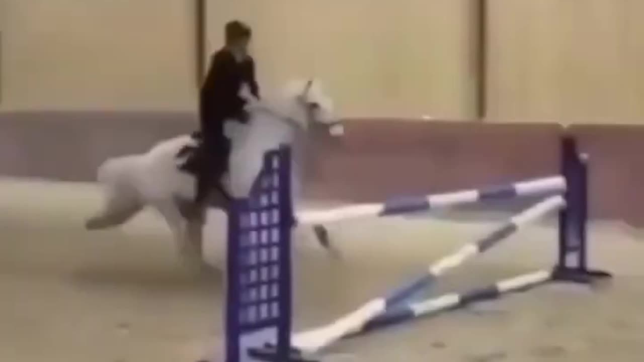 "Skateboard Stumbles and Horseback Hilarity: Funniest Mishaps Compilation"