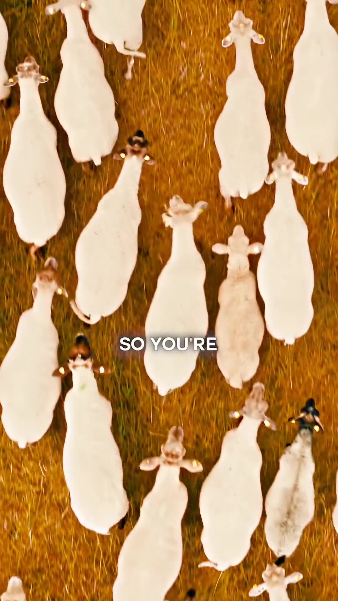 Forge your own story.