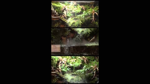 Small Ecosystem Demonstrations