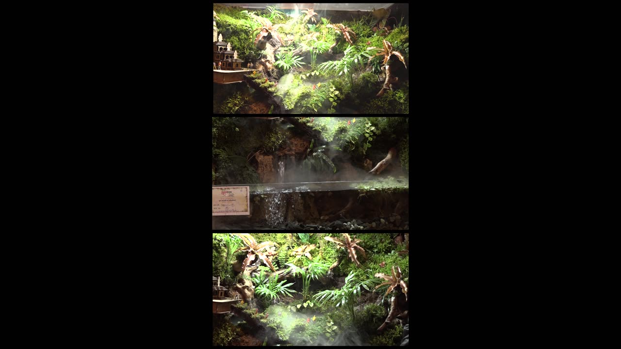 Small Ecosystem Demonstrations
