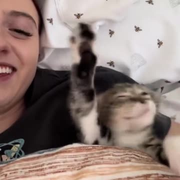 Good morning 😹😻