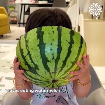 Little boy is obsessed with watermelons.hd
