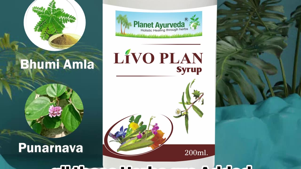 Livo Plan Syrup - Fatty Liver Herbal Remedy for Children & Adults | Detox Liver Naturally