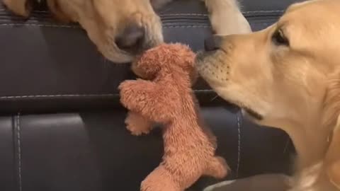 When your bro is always stealing your sht