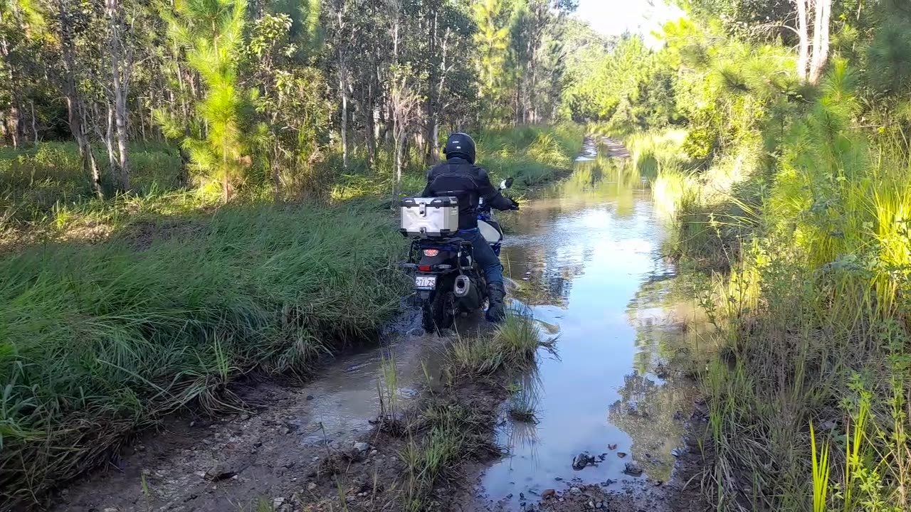 Splashy time with Neil