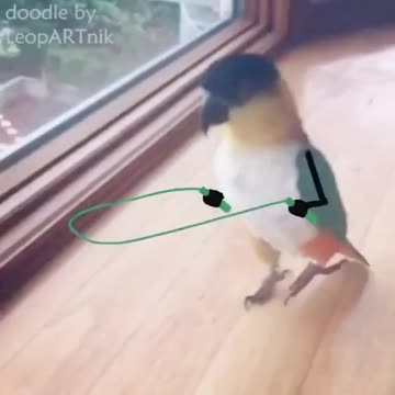 Creating Wings of Art: Birds in Motion